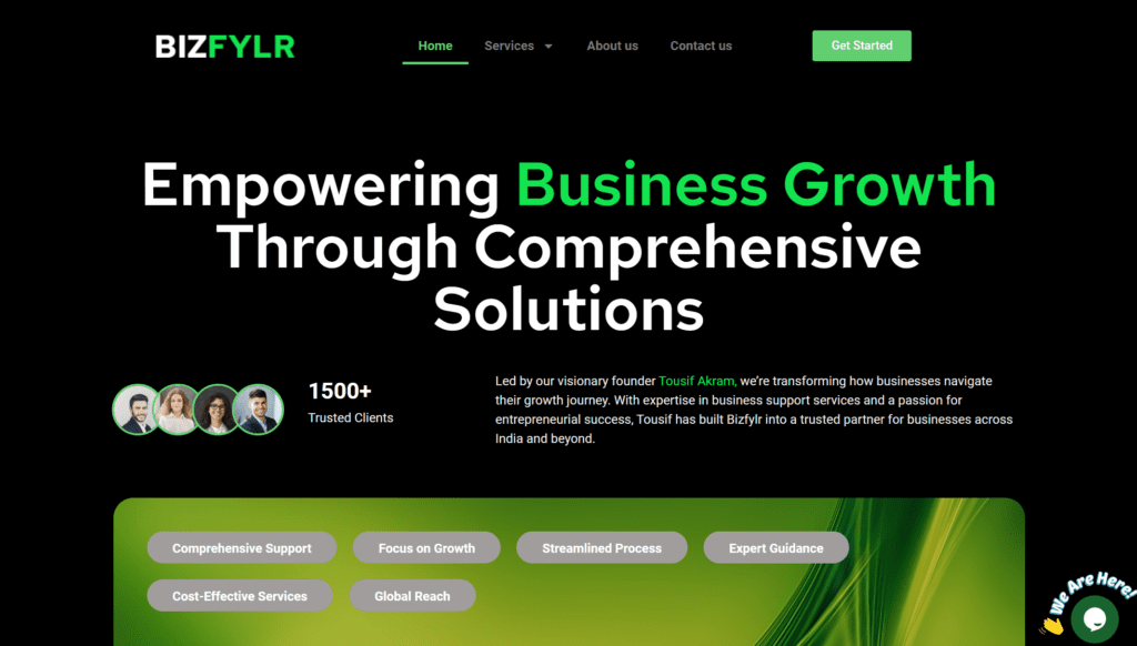 Bizfylr-website-front-page